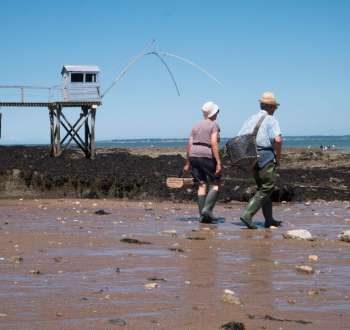 pêche à pied à port giraud la plaine sur mer beaches and shellfish picking pays de la loire